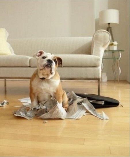 Д[O(sh)(yng)ԓMһЩFءƷ