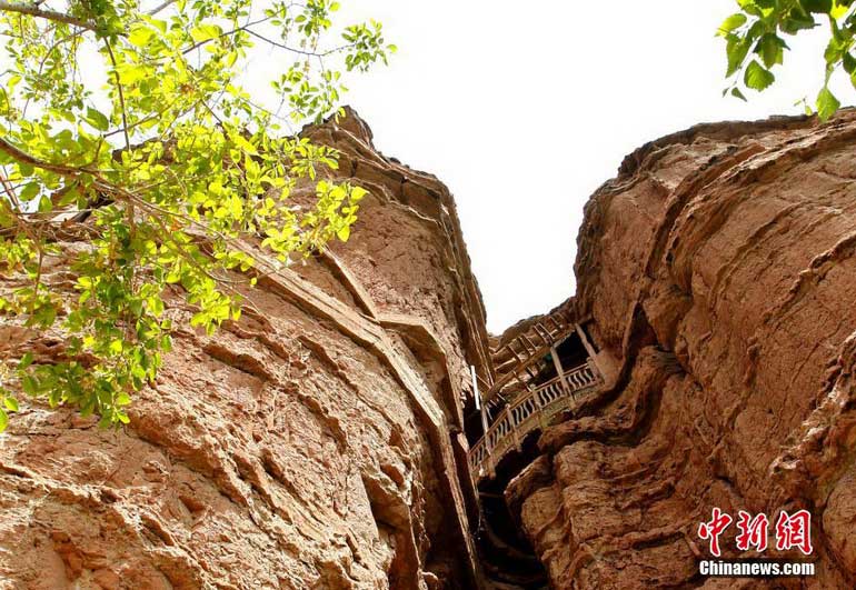 壺̽LЇ(gu)ڶҿ ຣU