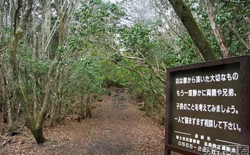 ȫ׃B(ti)10(g)ط^ȥ