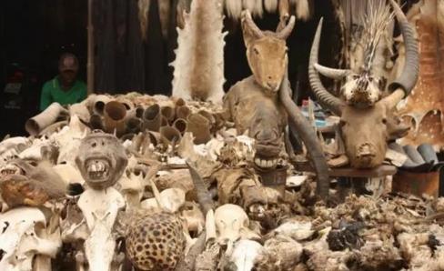 ȫ׃B(ti)10(g)ط^ȥ